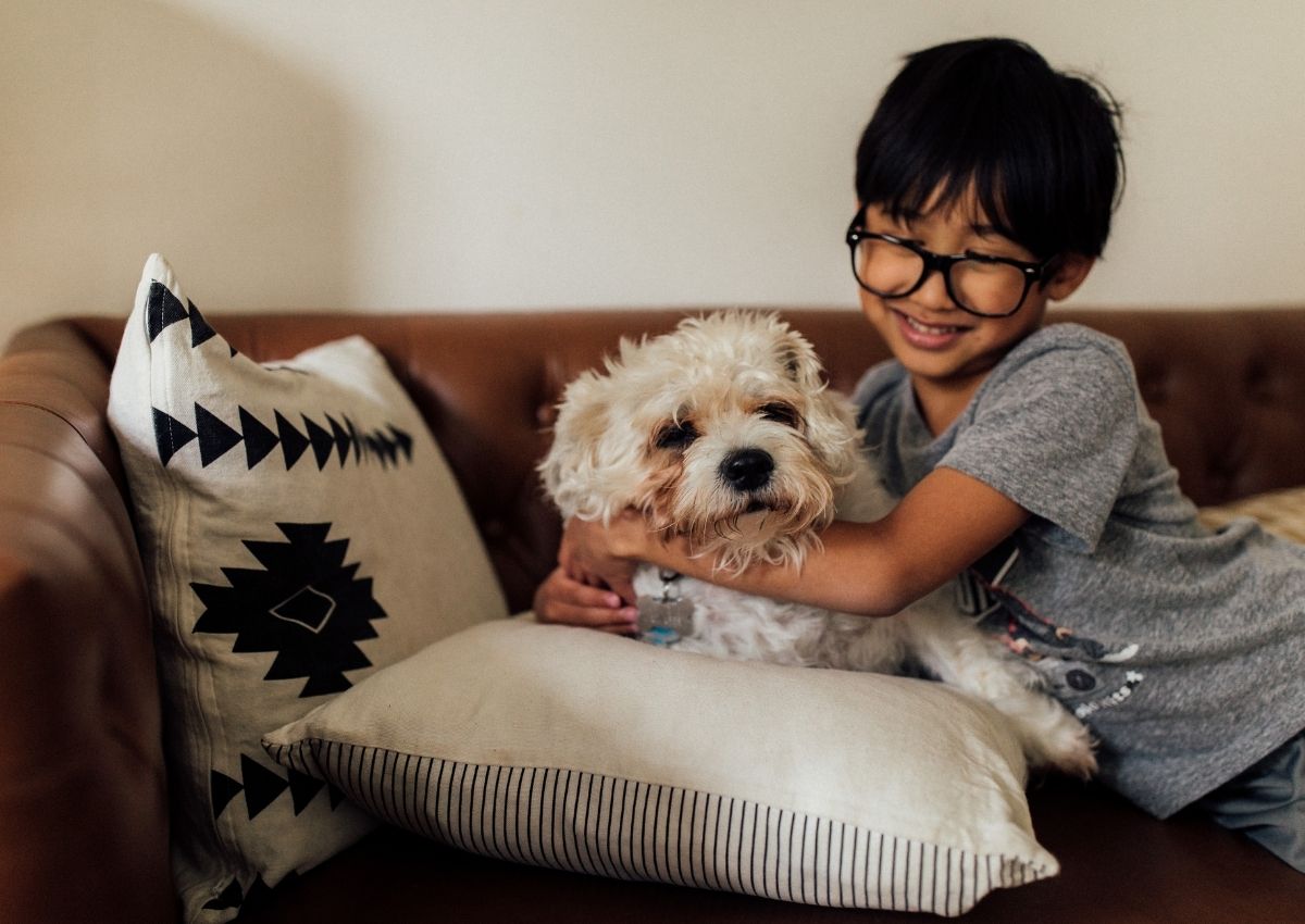 Happy boy embracing fluffy puppy Chihuahua and veterinary doctor with X-ray.