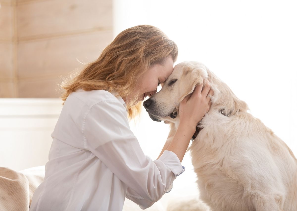 girl is hugging a white dog girl is hugging a white dog