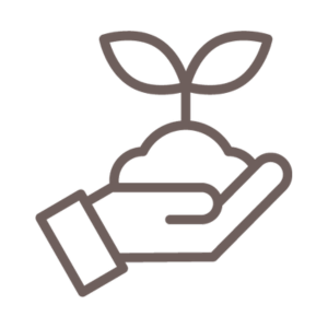 mentorship icon